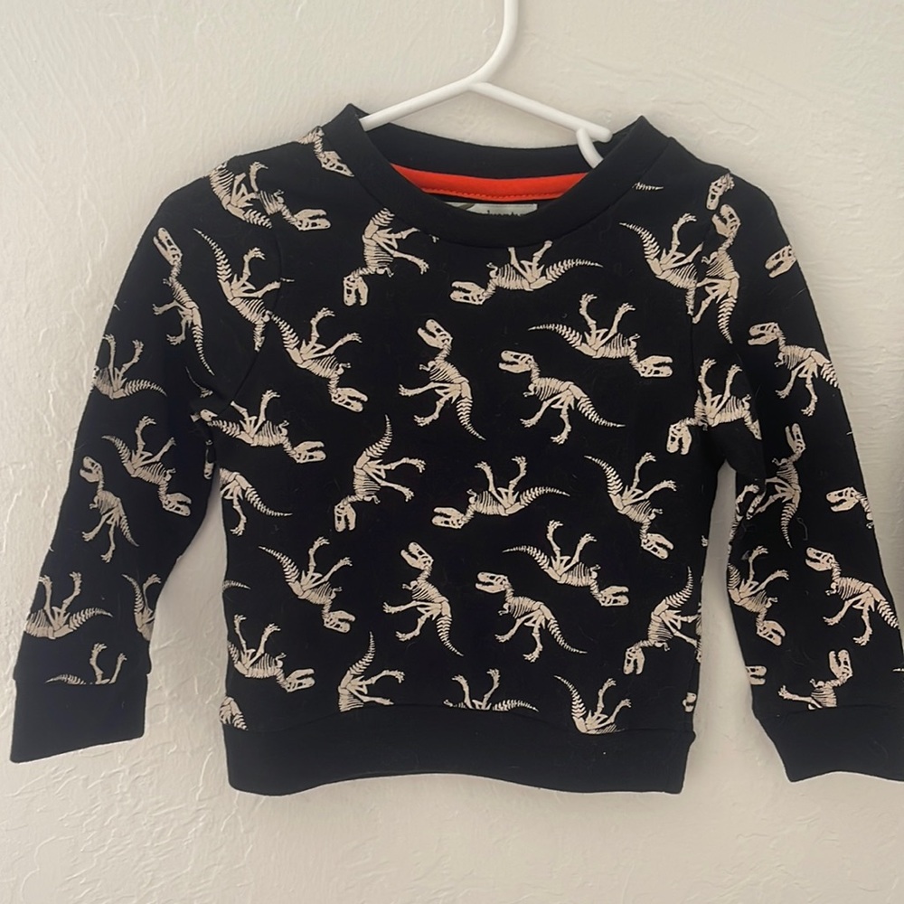 Dinosaur sweatshirt 🦖